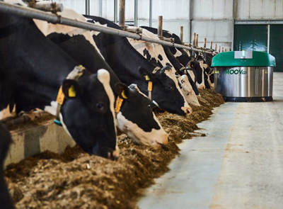 Animal Health Products